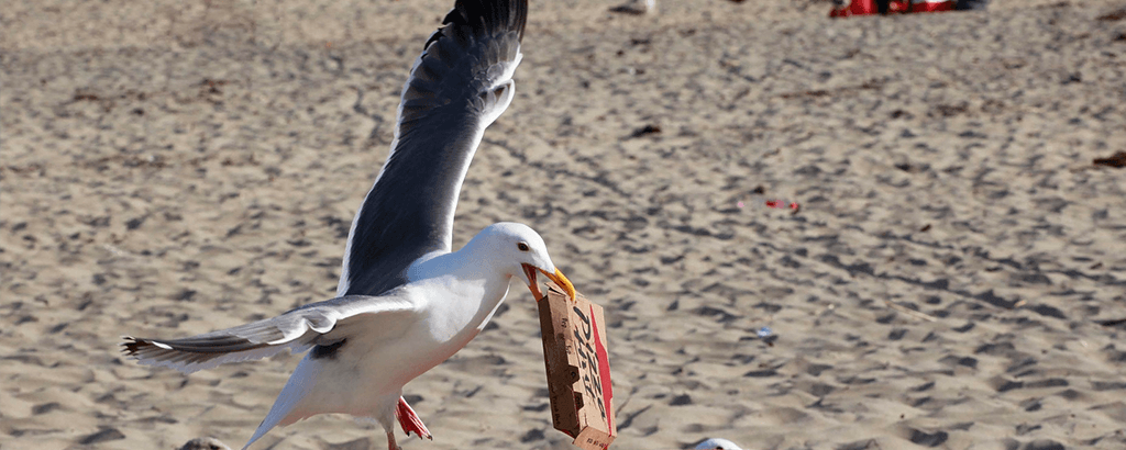 Basura en la playa 